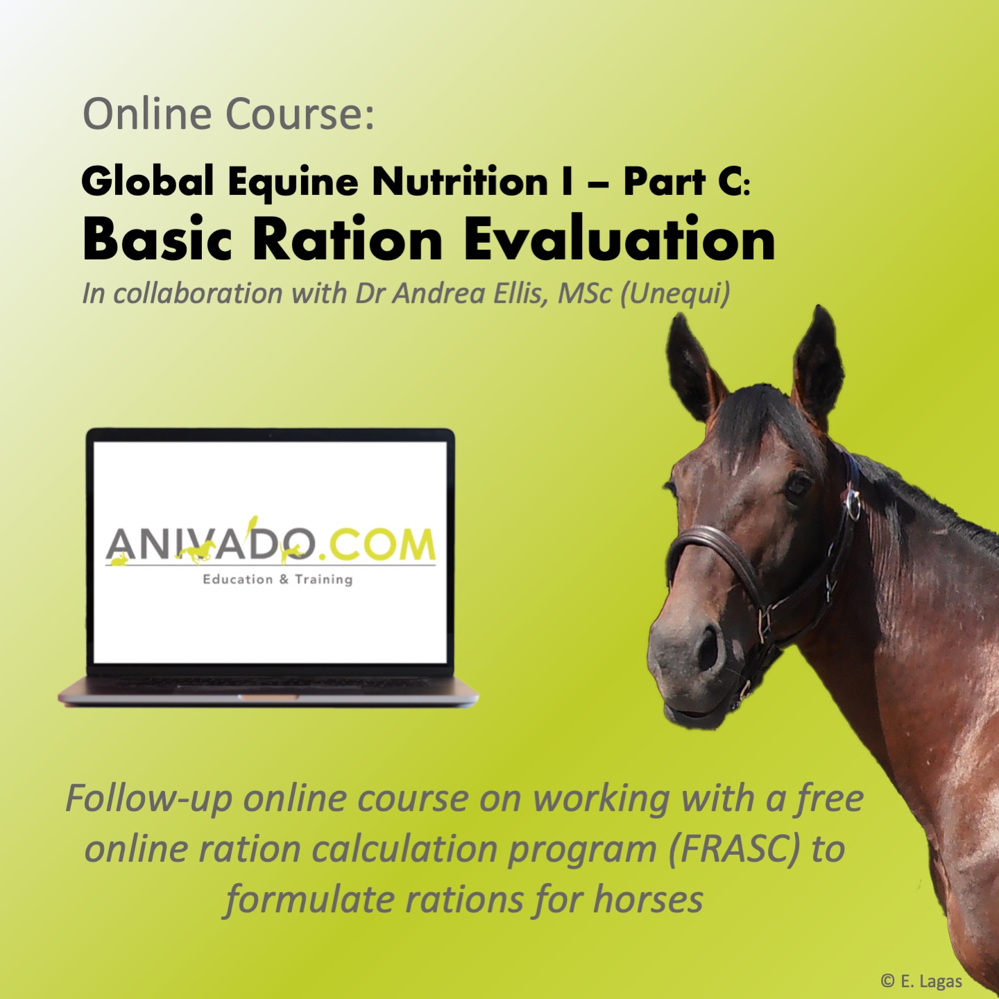 ANIVADO Global Equine Nutrition I